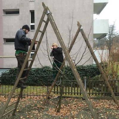 Obstbaumschnitt